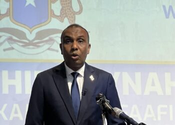 Somali Prime Minister Warns Ethiopia Against Encroaching on Somali Territory