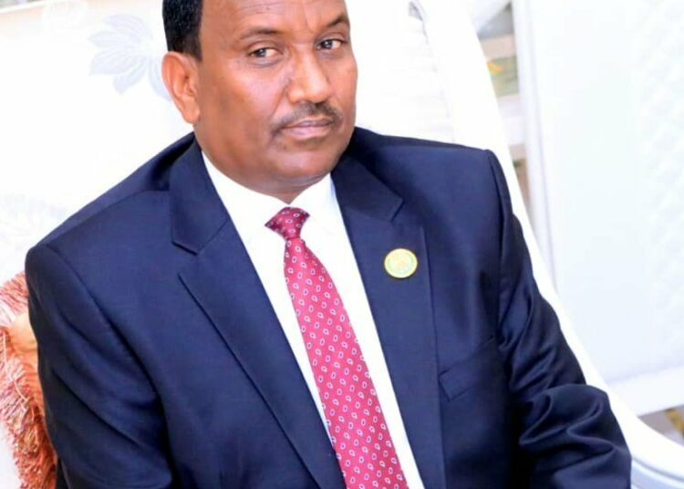 Somaliland Detains Ex-Minister